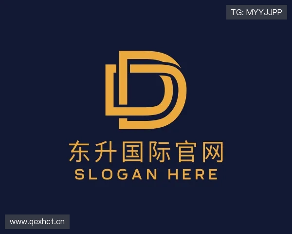 解读东升国际官网